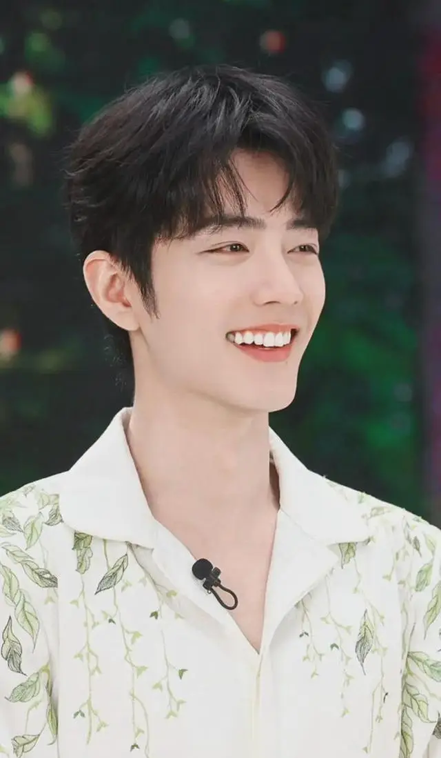 百度热点明星排名前十,_揭秘热度巅峰_2024年度百度男明星搜索指数榜单