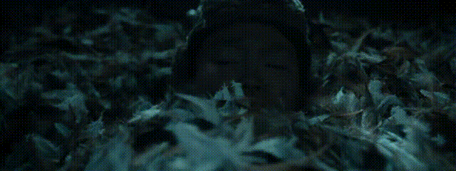 国产惊悚片市场萎缩_网络电影惊悚片兴起_韩国论理电影在线观看